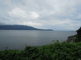 DSCN8483