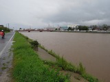 DSCN8485