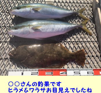 e582a2bf11a7e41919d7a849c52f4329