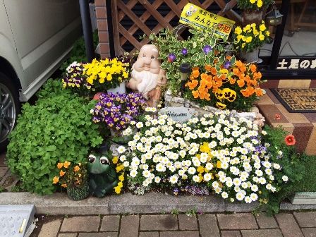 事務所のお花