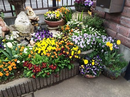 事務所のお花