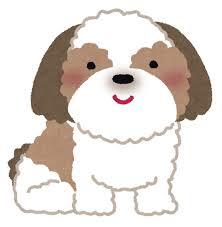 シーズ2