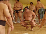 25d0b1e8.JPG