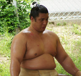 736a693b.jpg