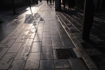 IMG_7291aa