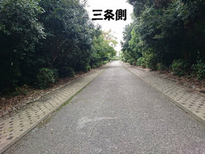BlogPaint