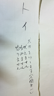 sketch-1515041203324
