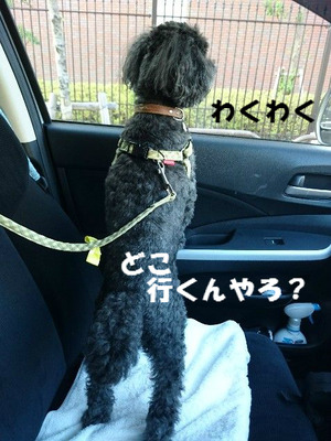 BlogPaint