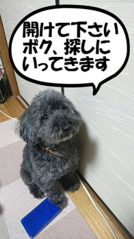 BlogPaint