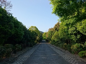 DSC_3660