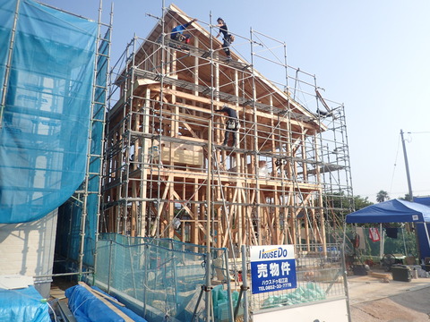 P7200025