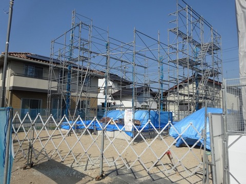 s-DSC02551