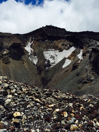IMG_0901