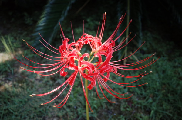 R0010105