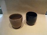 IMG_1937