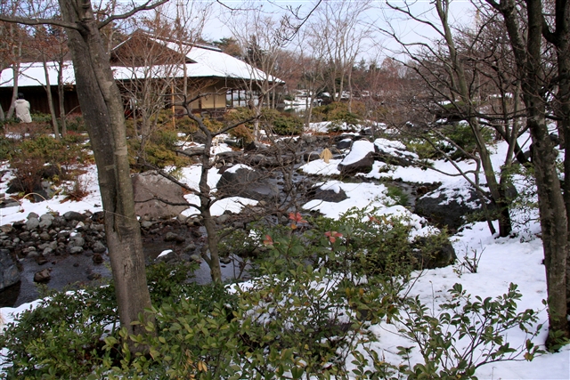 昭和記念公園
