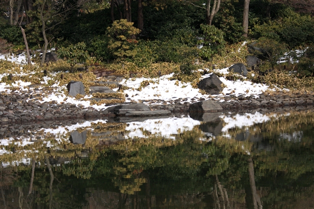 昭和記念公園