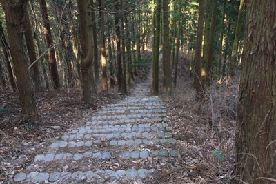 宝登山より下り坂2