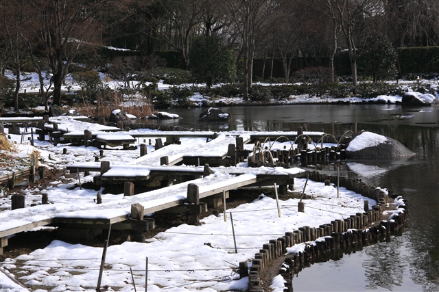 昭和記念公園
