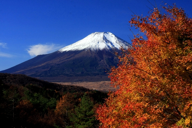 二十曲峠2