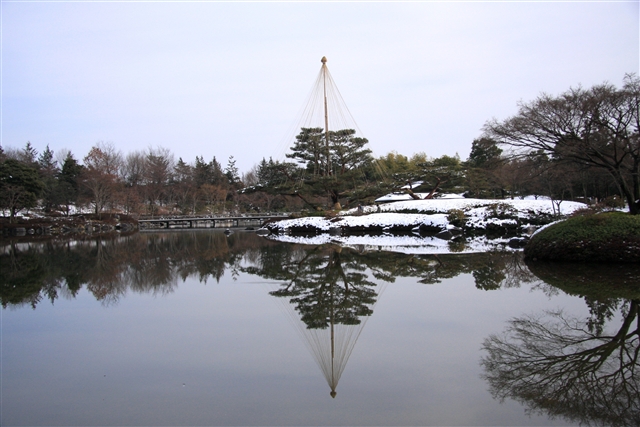 昭和記念公園