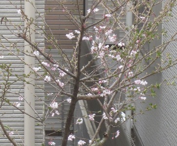 20170401 002
