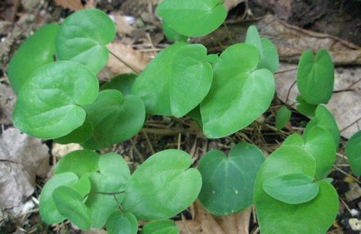 P5030019