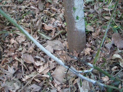 P3270022