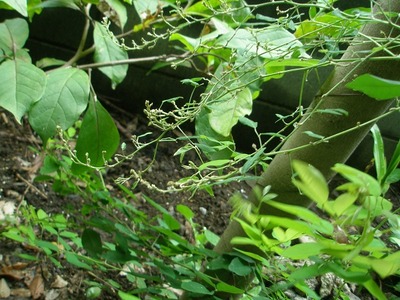 P8290009