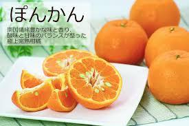 yjimage(3)