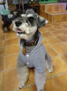 「ラッシーのおうち」に行く3