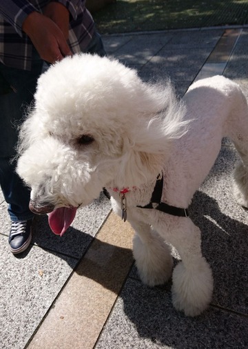 ワンダーカフェ４