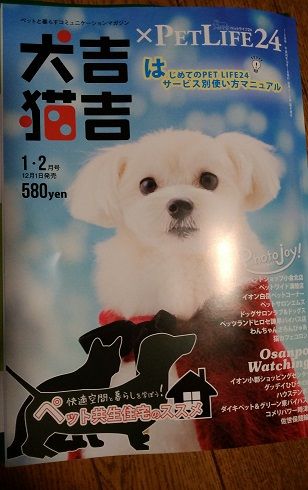 犬吉猫吉２