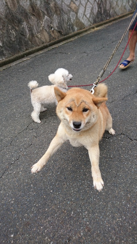 マレとマコ 9.1-.2JPG