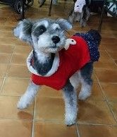 ラッシーのおうち１