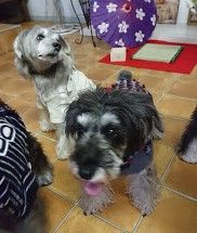 ラッシーのおうち3