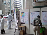paspy001