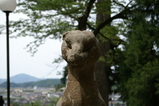 PICT0051
