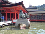 itsukushima_006
