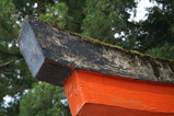 PICT0038