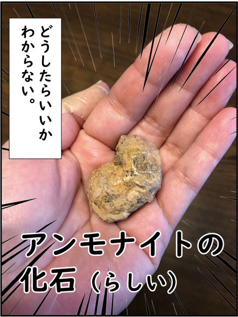20180613誕生日と母の日8