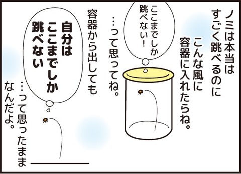 ノミの話訂正