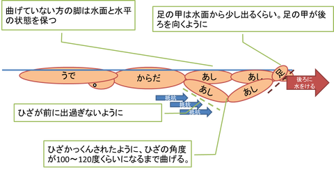 ポイント クロール 【クロールの息継ぎのコツ】23年間泳げない私が泳げるようになった方法