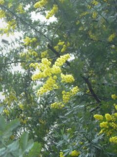 20070222-KIF_2035-1