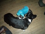 オマタまで届かない2