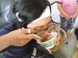 うなぎ
