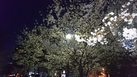 201945_190405_0013