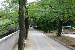 IMGP0009_1