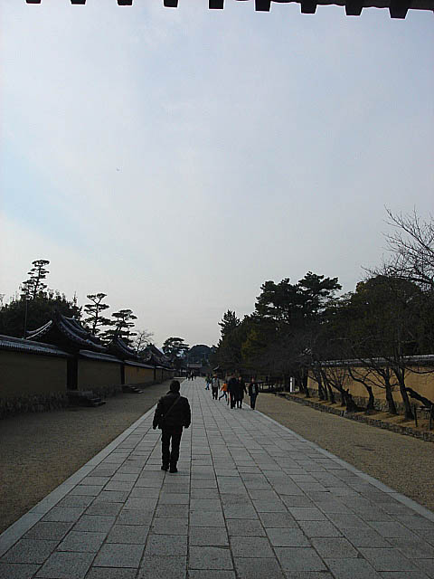 法隆寺 帰ろう1