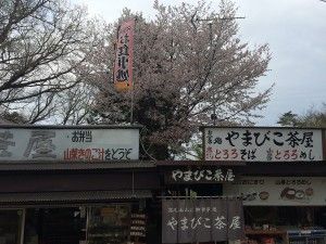 やまびこ茶屋